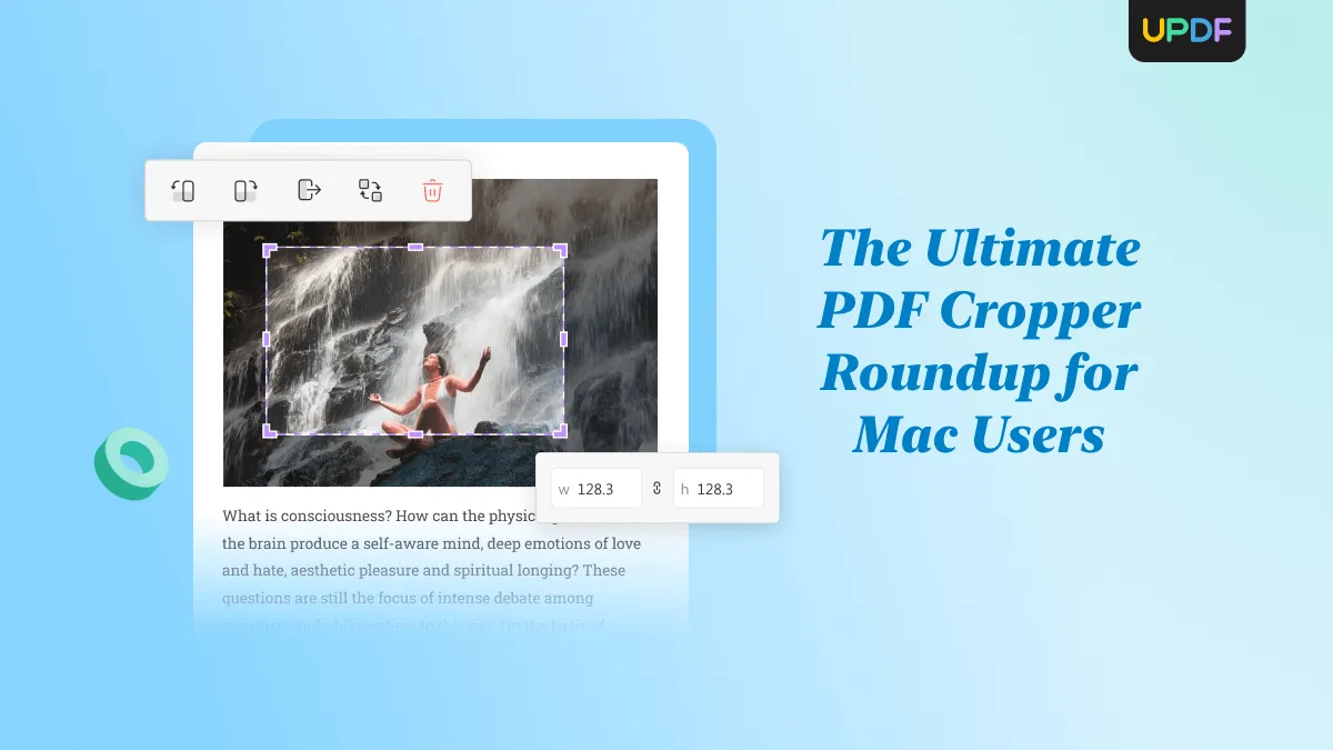 The Ultimate PDF Cropper Roundup for Mac Users