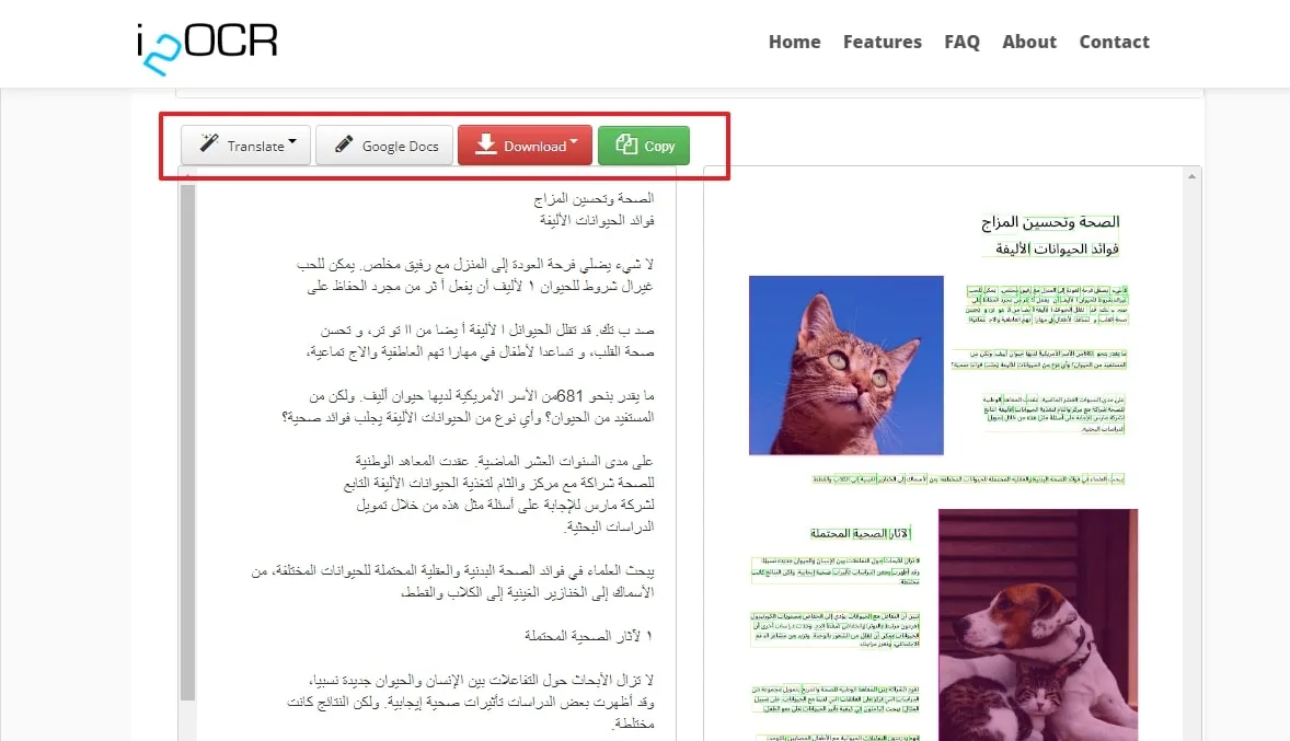 jpg to text arabic modify the results