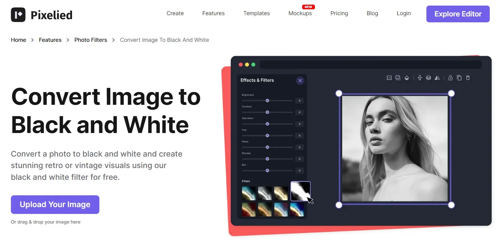 pixelied image editor which convert image to black and white