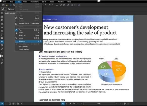 The Snapshot Tool in bluebeam