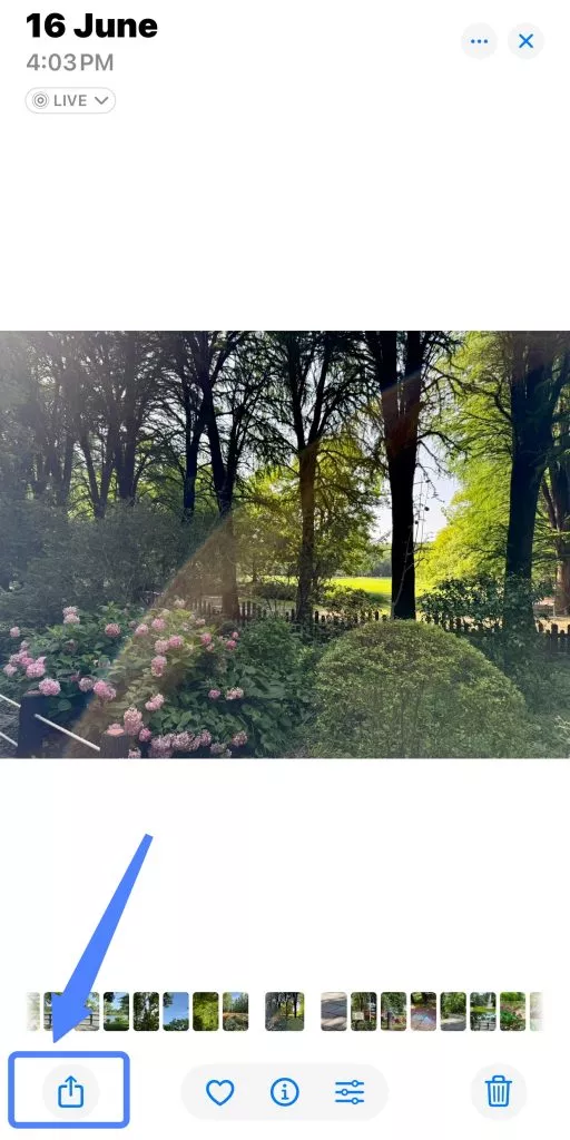 click share in iphone