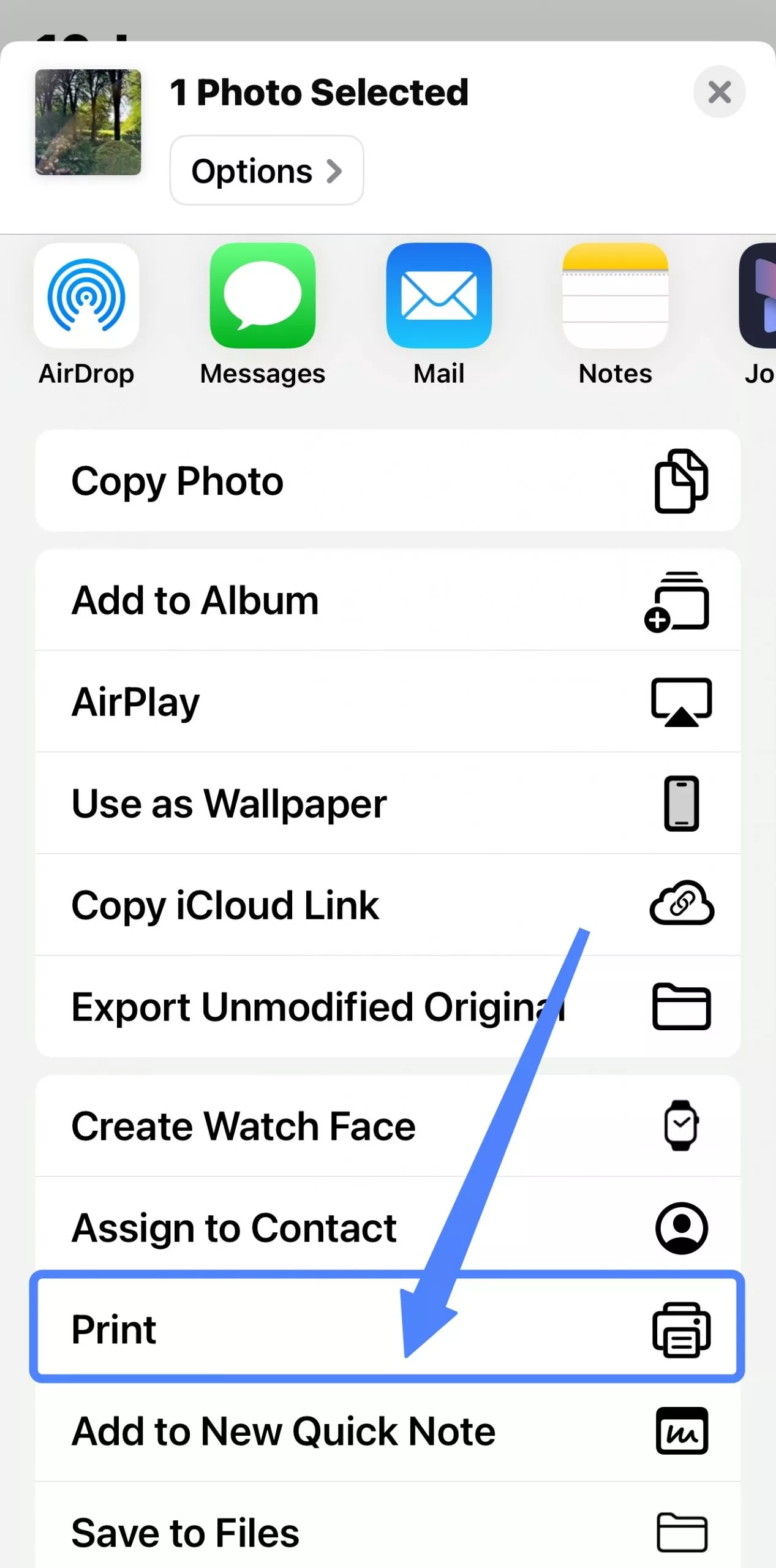 print from the share menu
