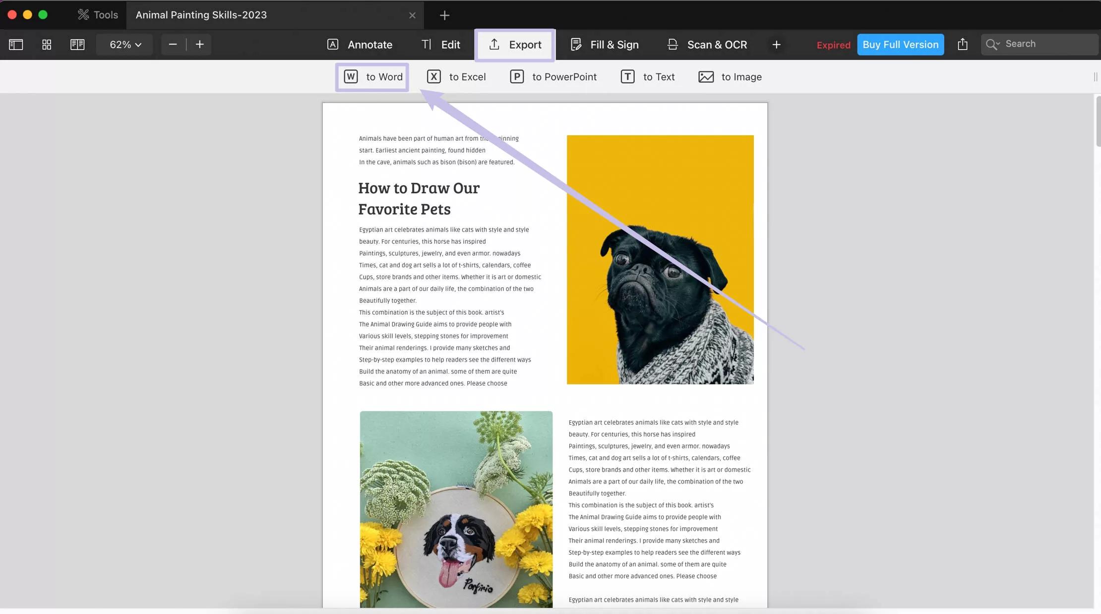 pdf to word pdf expert