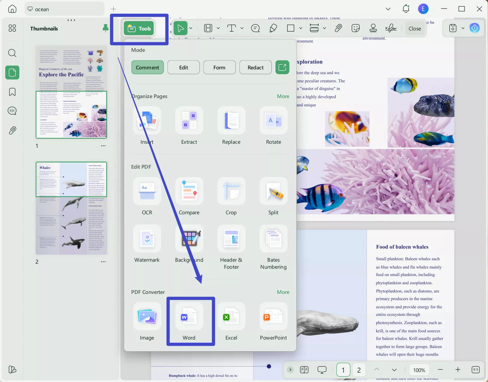 pdf to wps word converter