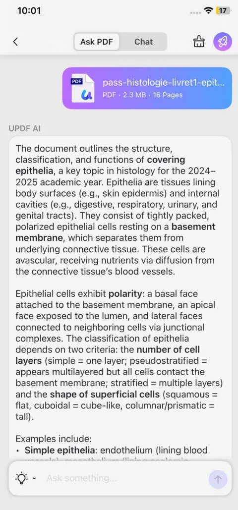 summarizing the uploaded pdf with updf ai on iphone