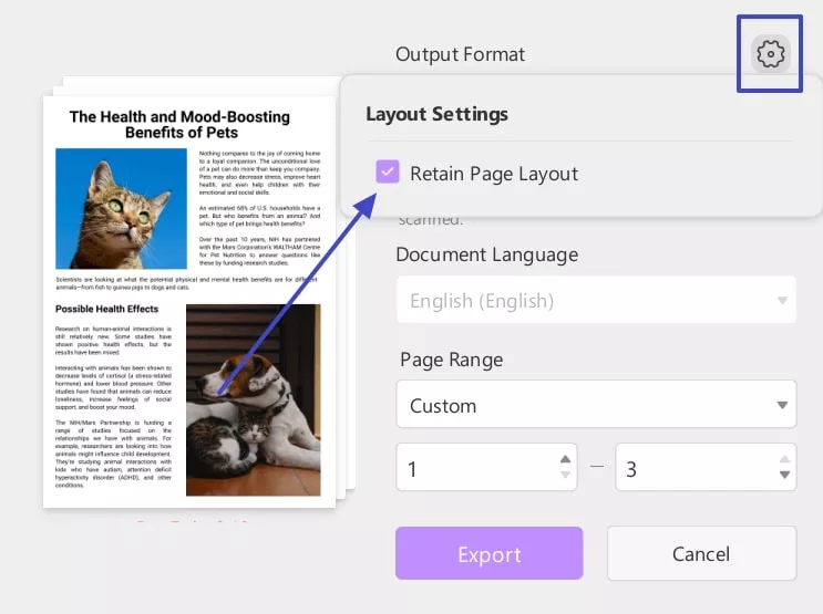 open layout settings convert pdf