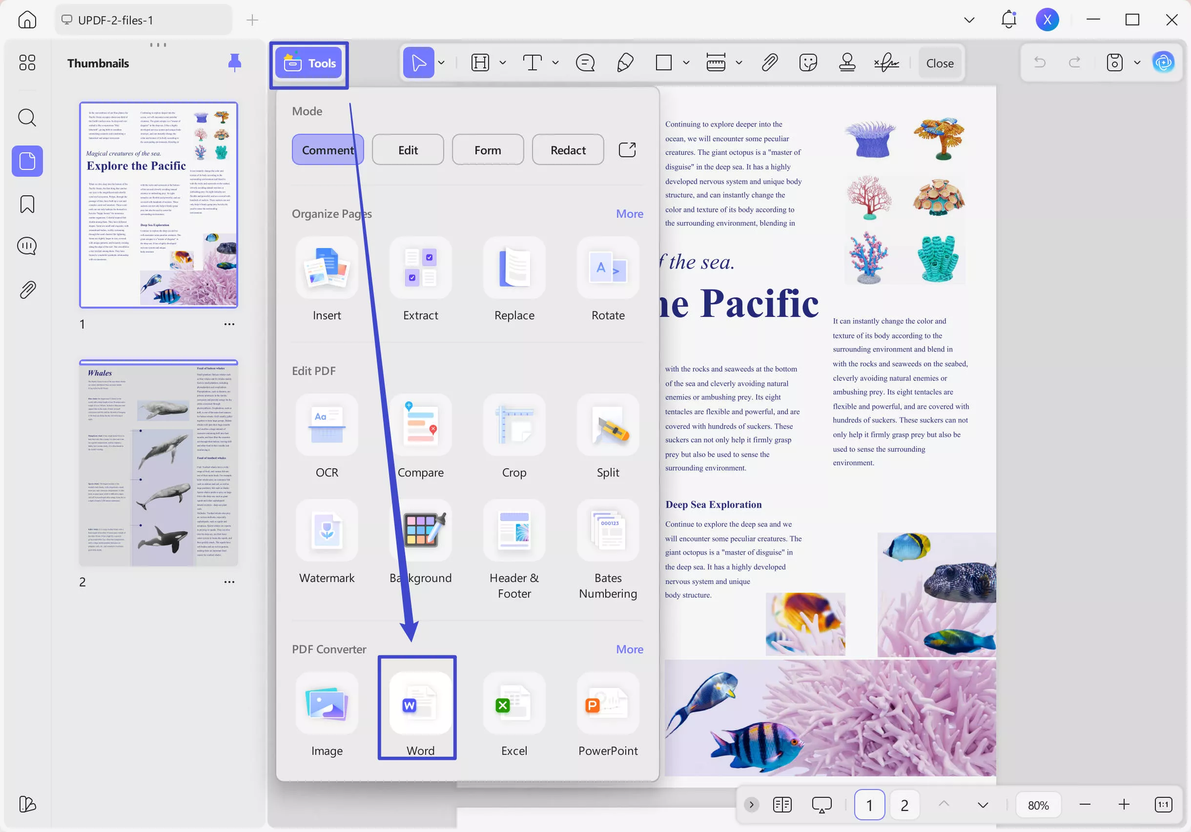 pdf to word converter
