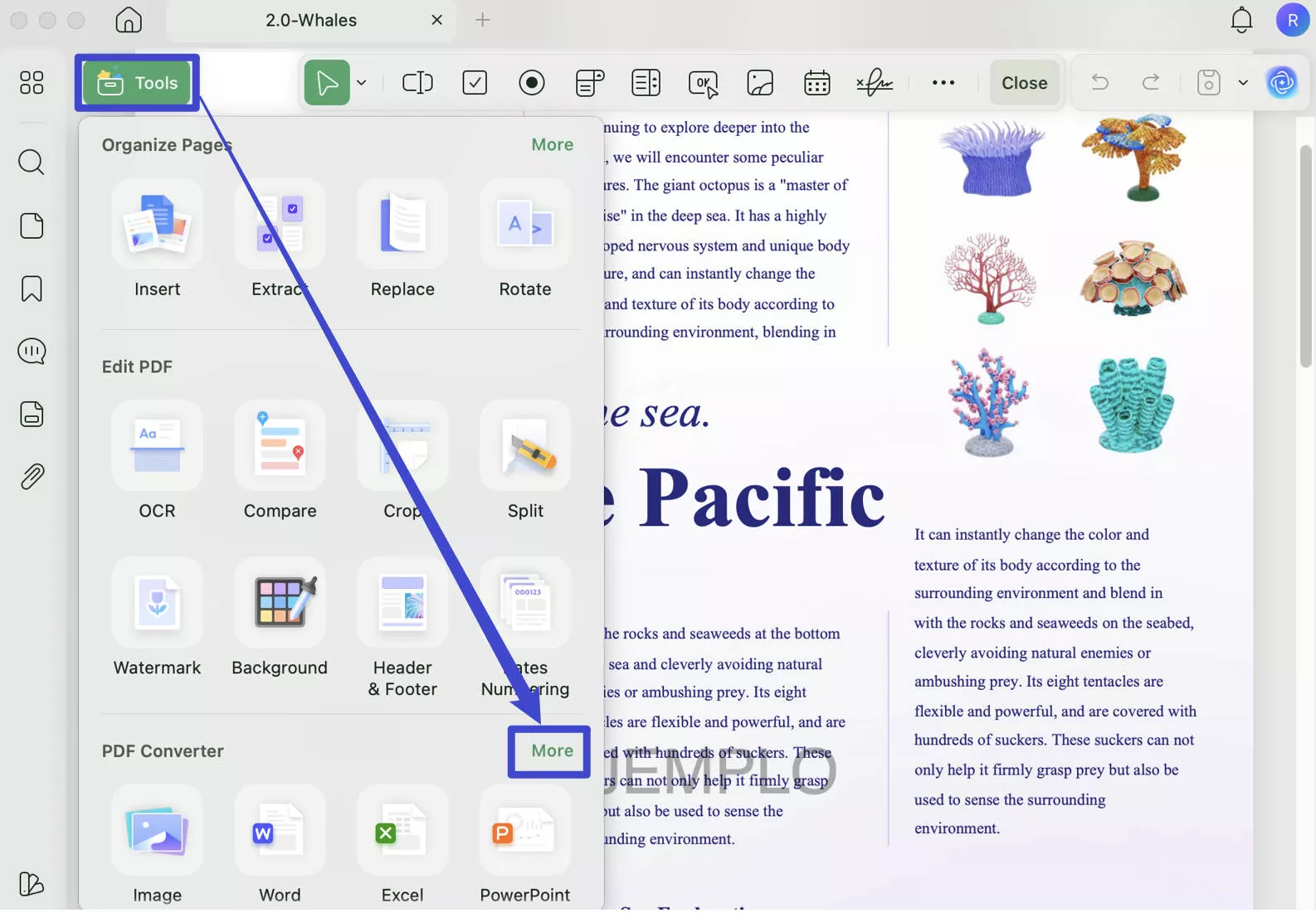 more converter on mac