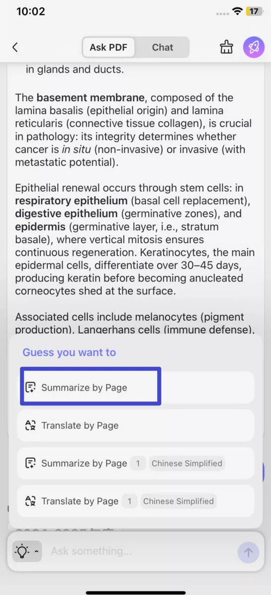 select summarize by page in updf for ios