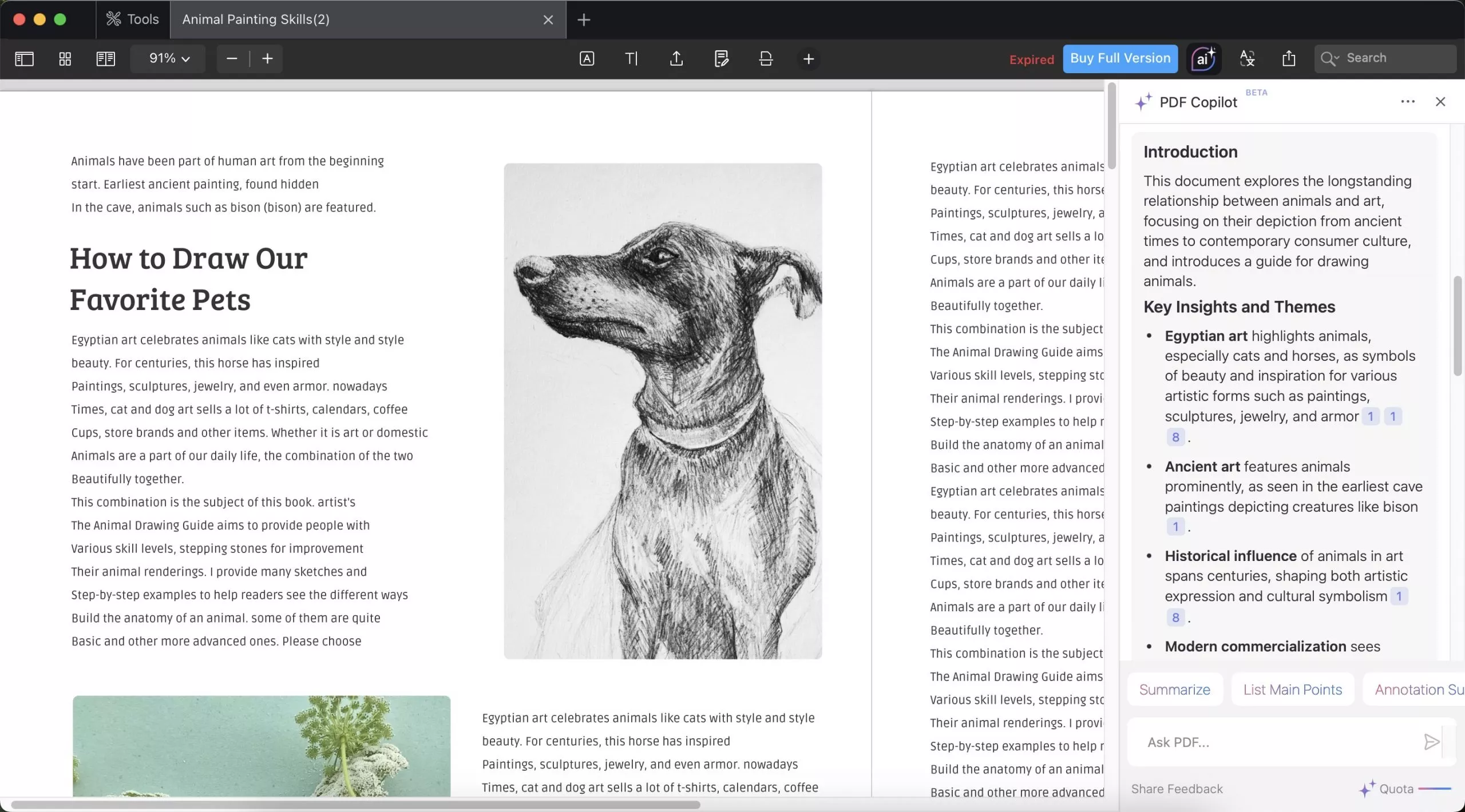pdf expert version 3.11 interface