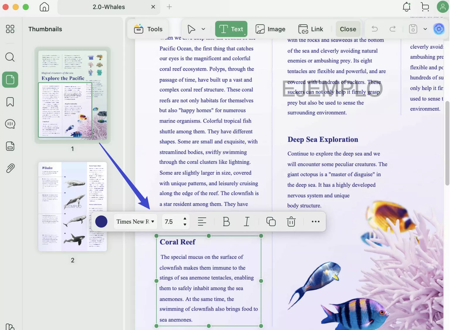 add text to pdf