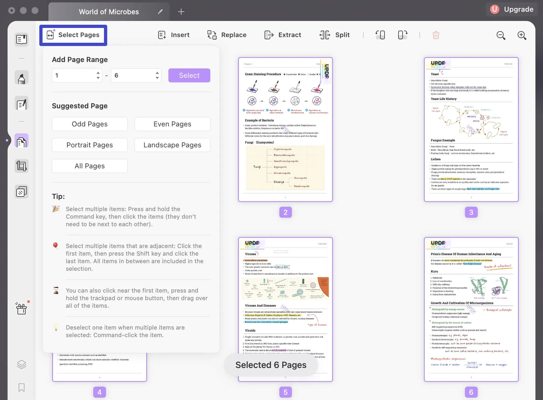 how to rotate pdf mac select pages