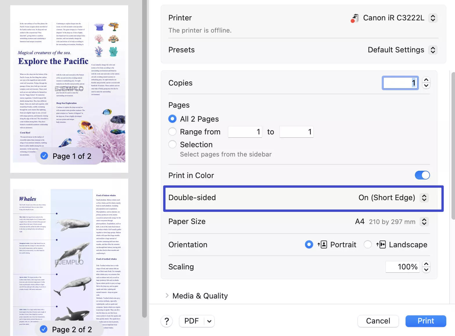 how to print double sided on mac pdf
