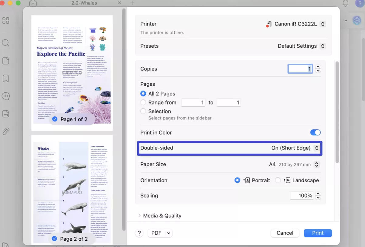 Print two sided PDF using UPDF on Mac