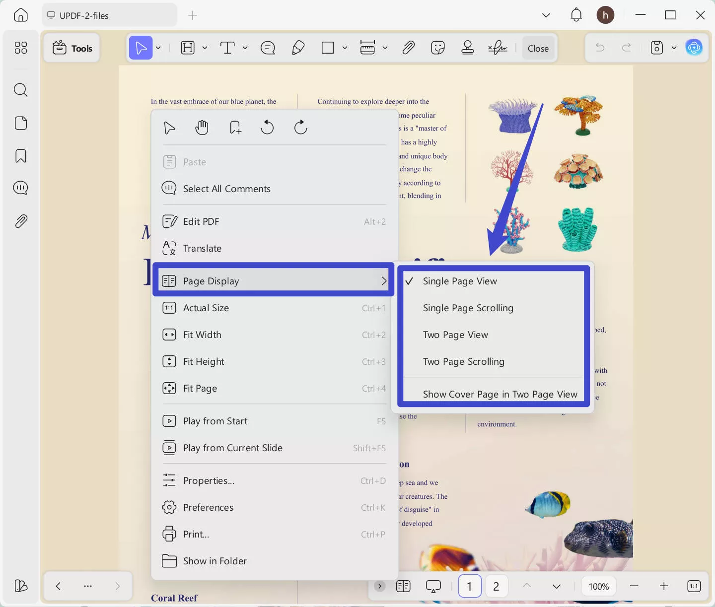 page display updf windows
