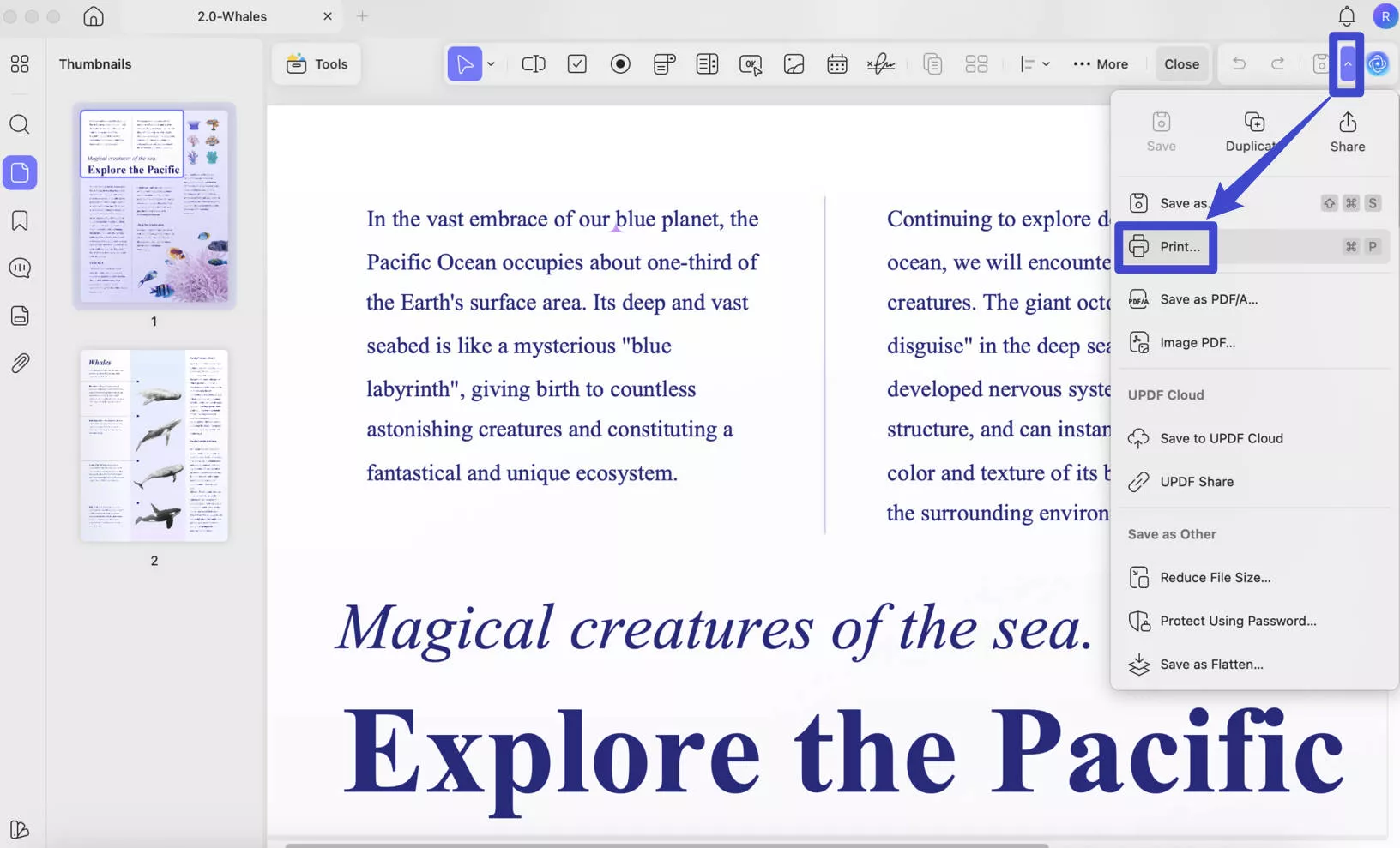 how to print double sided on mac pdf