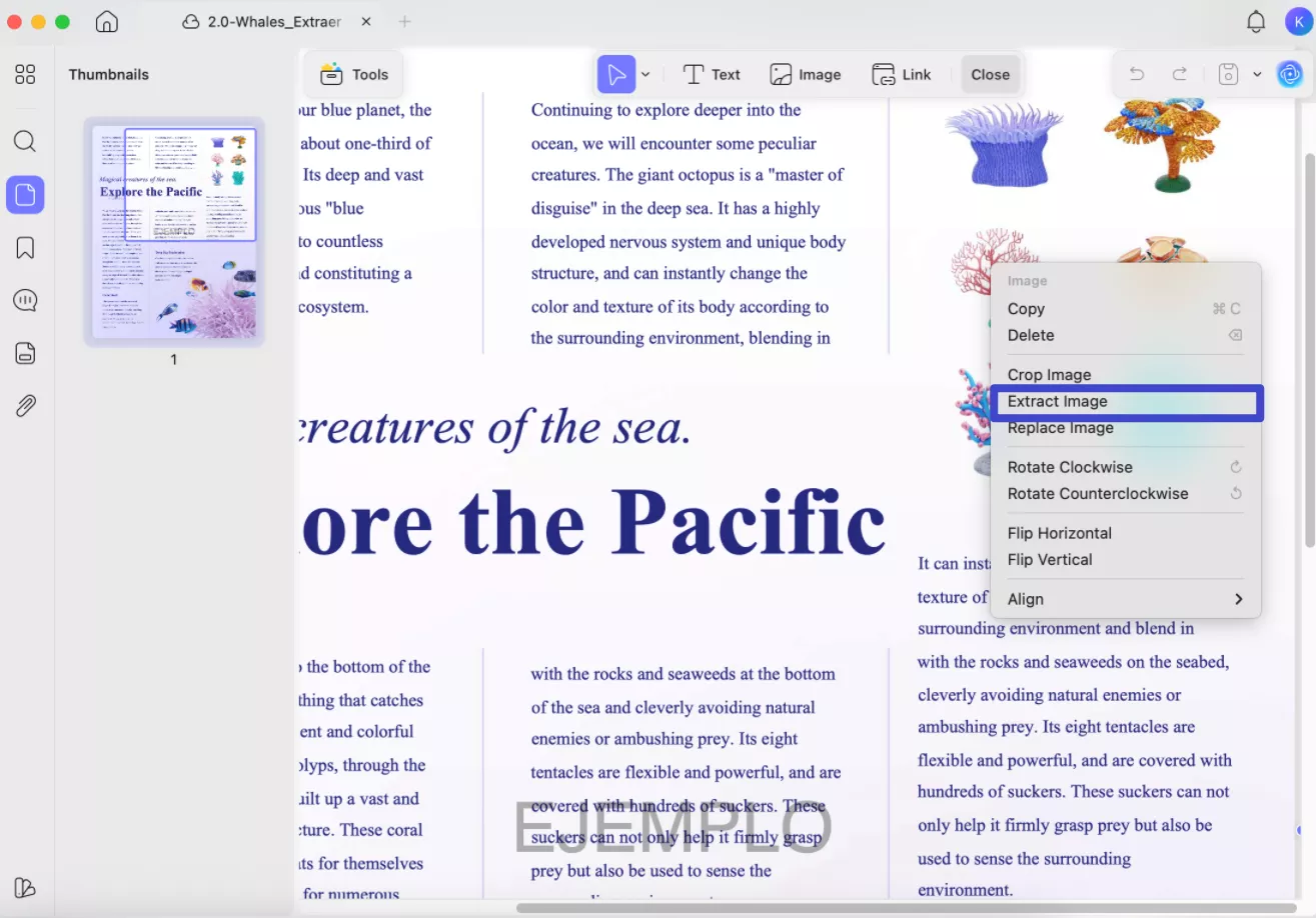 extract image from pdf on mac by right click image