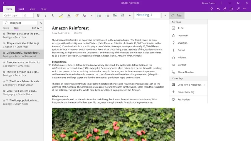 Microsoft Onenote App für Windows