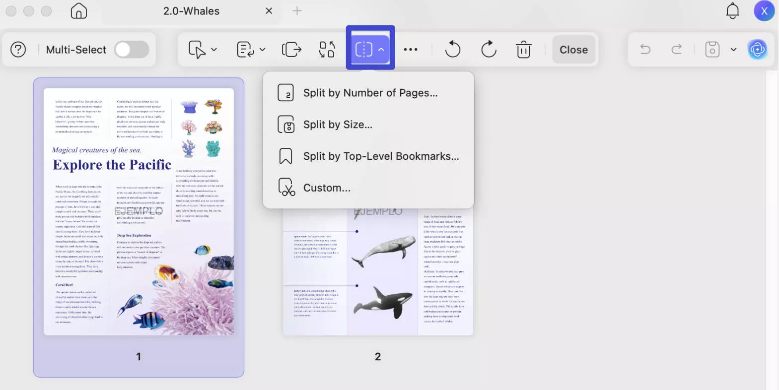 compress pdf mac split or custom split pages with UPDF