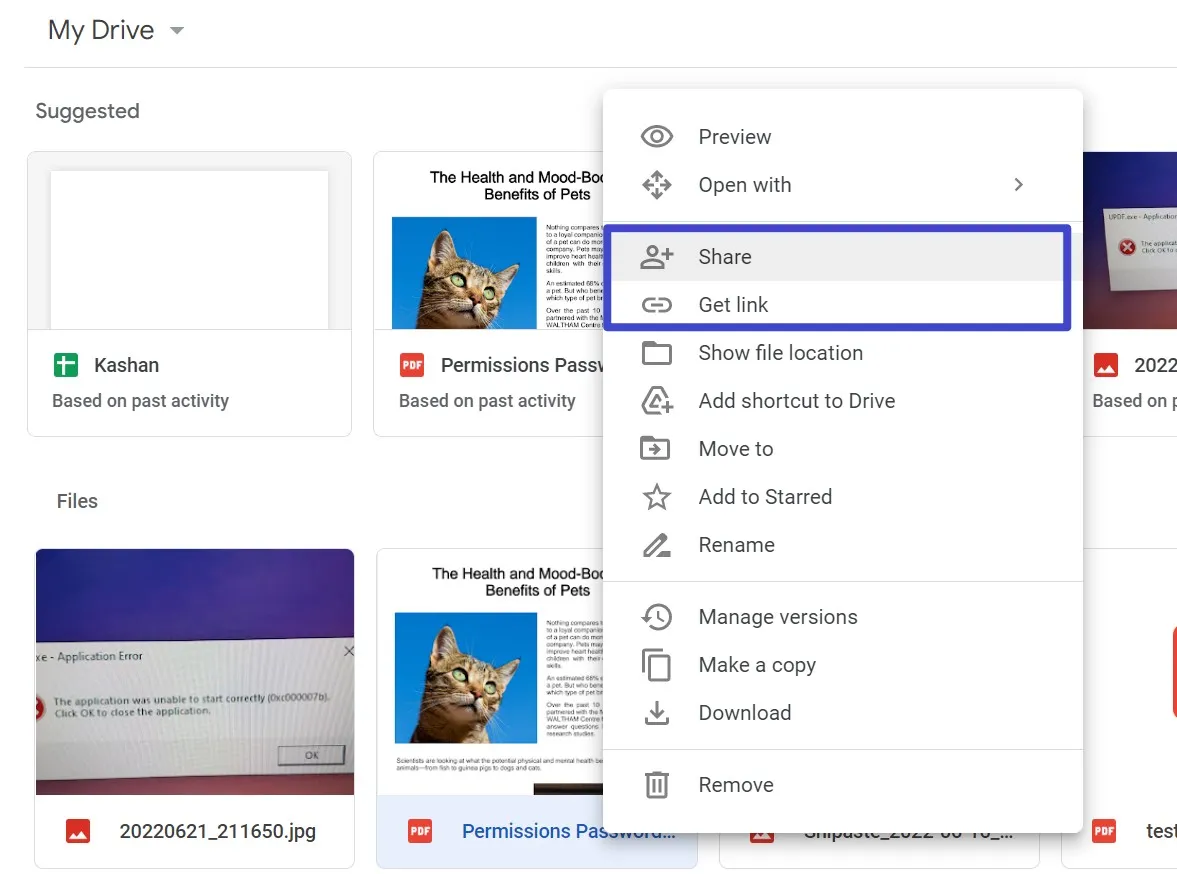 wie man ein pdf auf Google Drive teilt