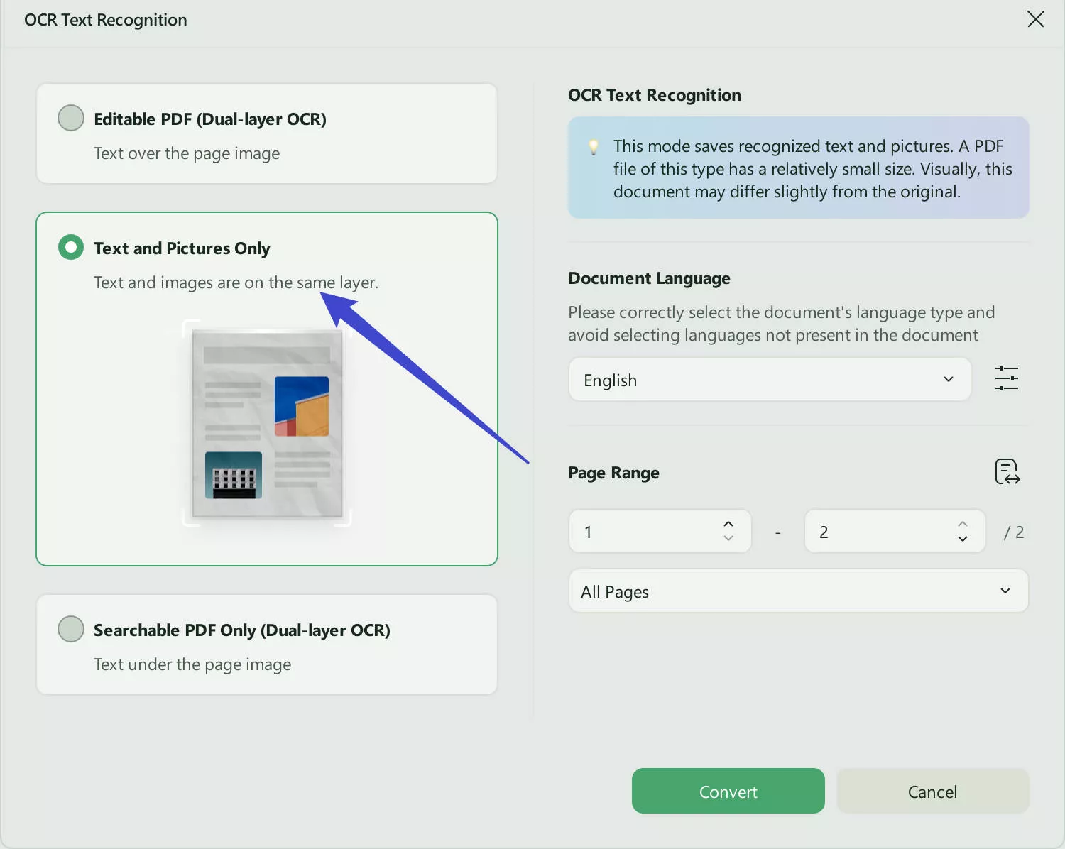 choose image-only PDF