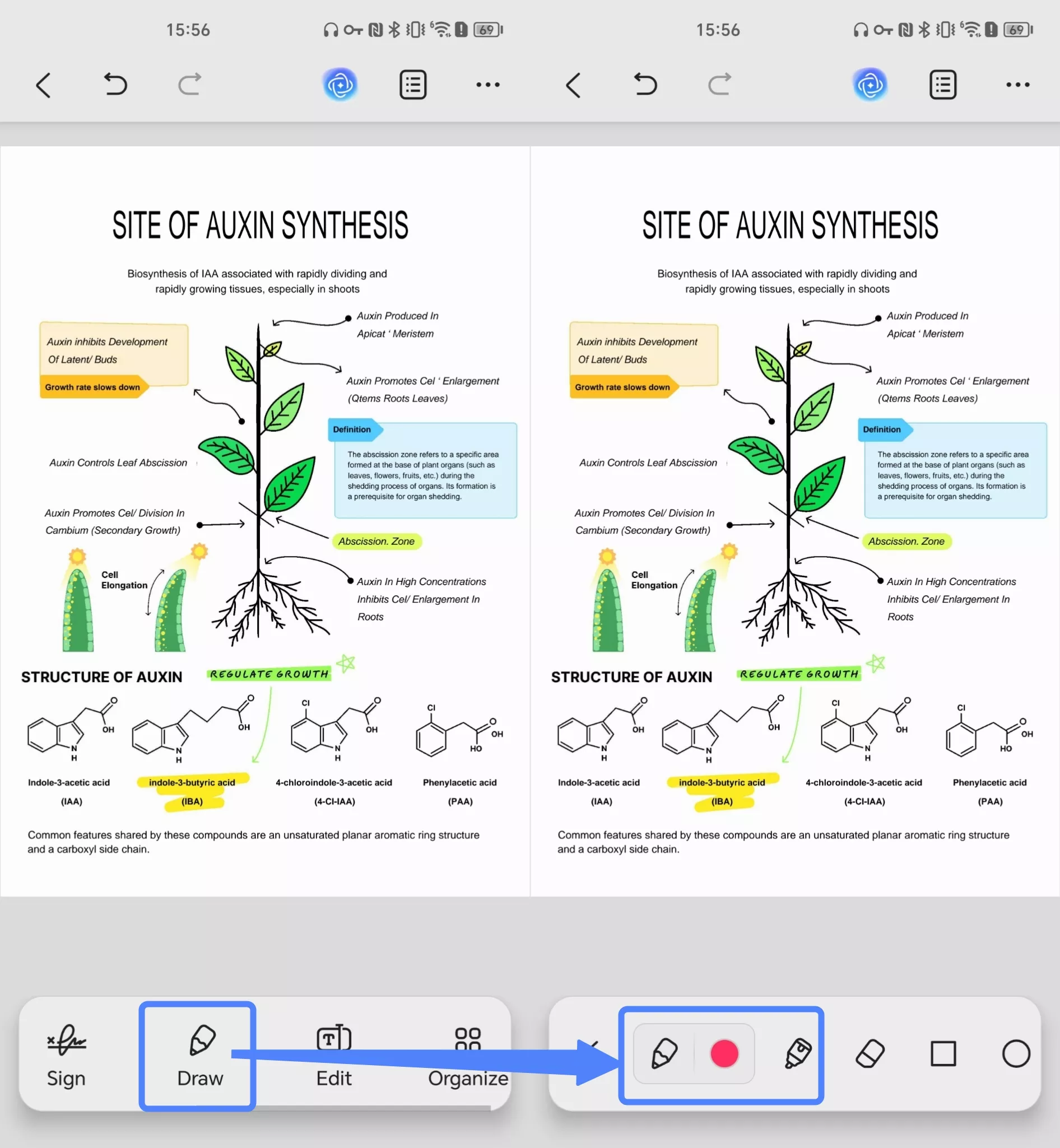 choose pencil or highlighter