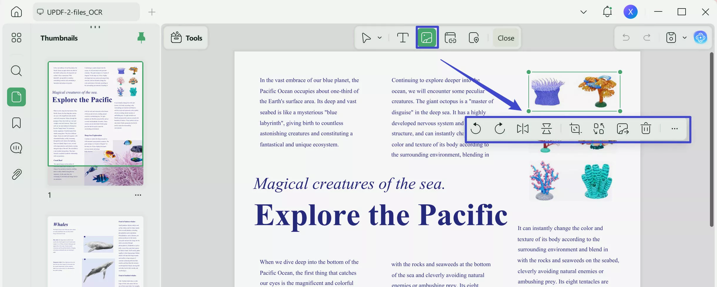 increase pdf size by enlarging images