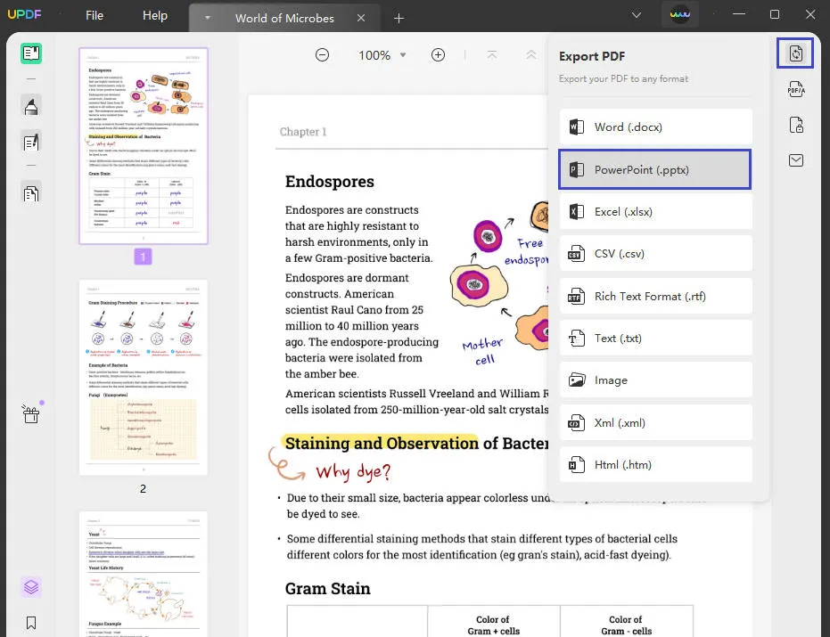 convert pdf to ppt with export feature