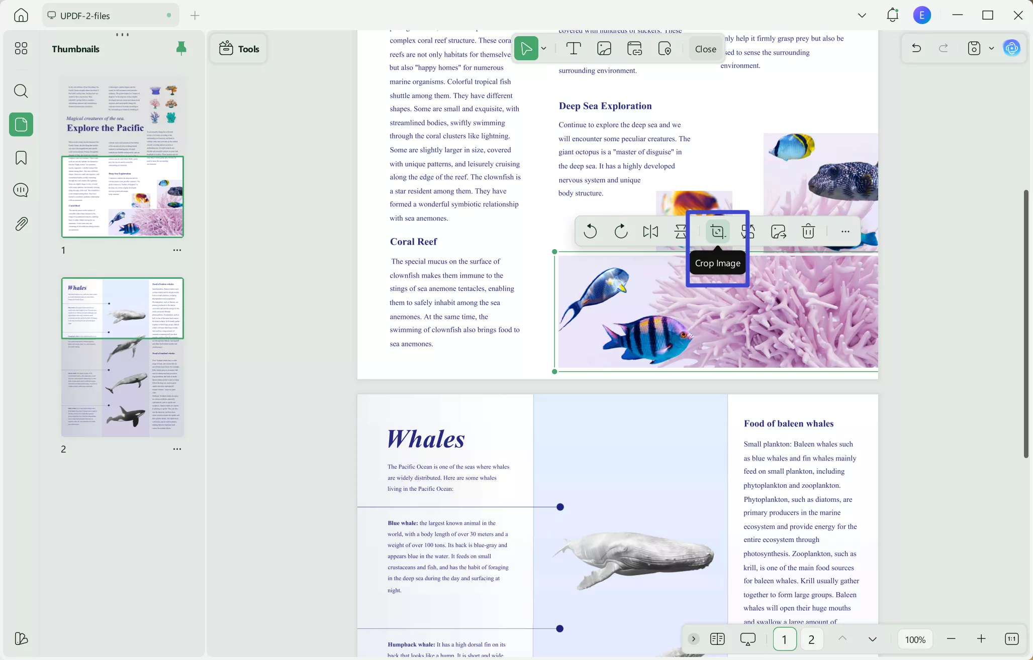 copy image from pdf to word
