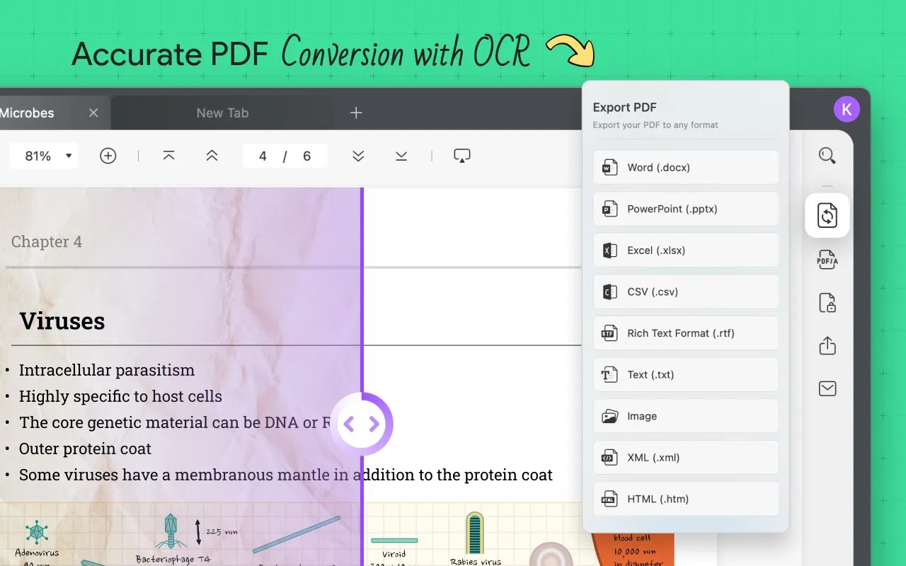 Options de conversion d'UPDF