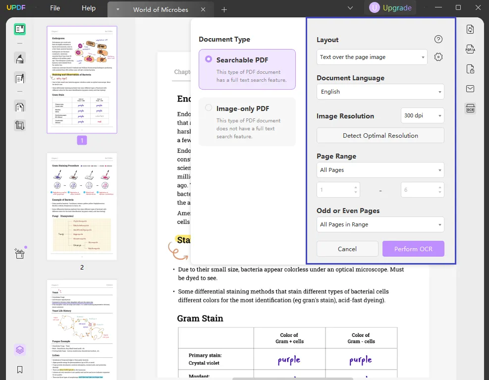 configure el ocr con el convertidor gratuito de pdf a texto updf