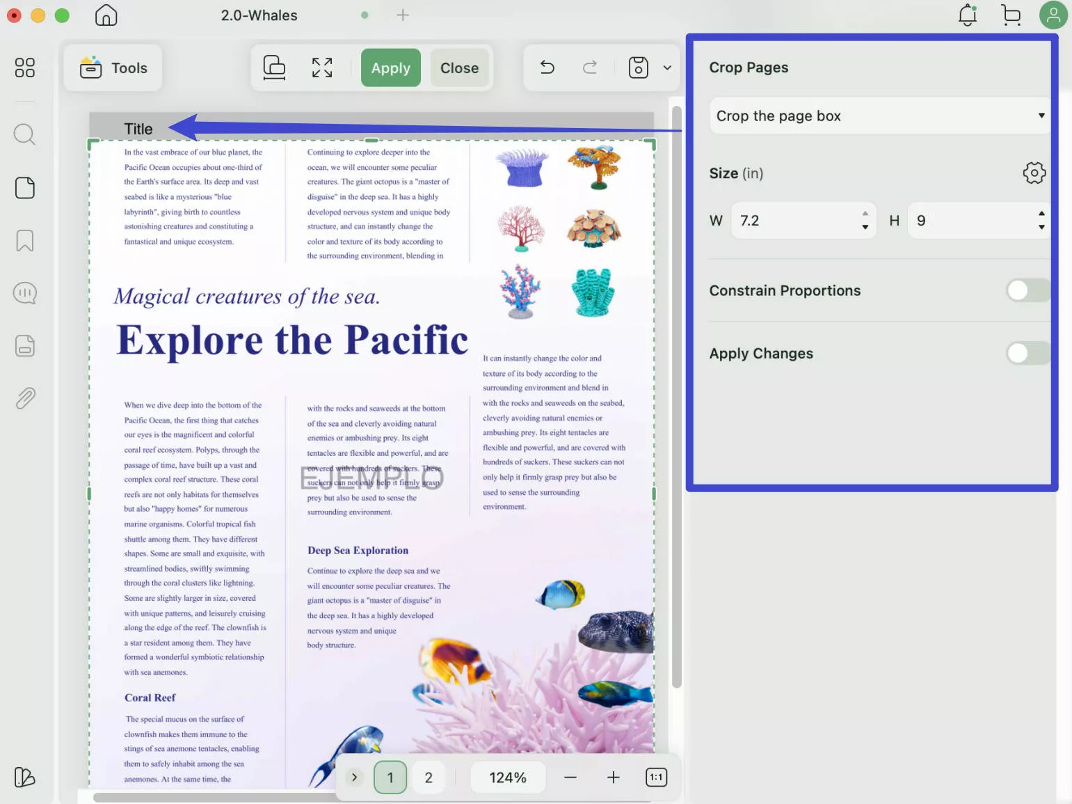 remove footer from pdf