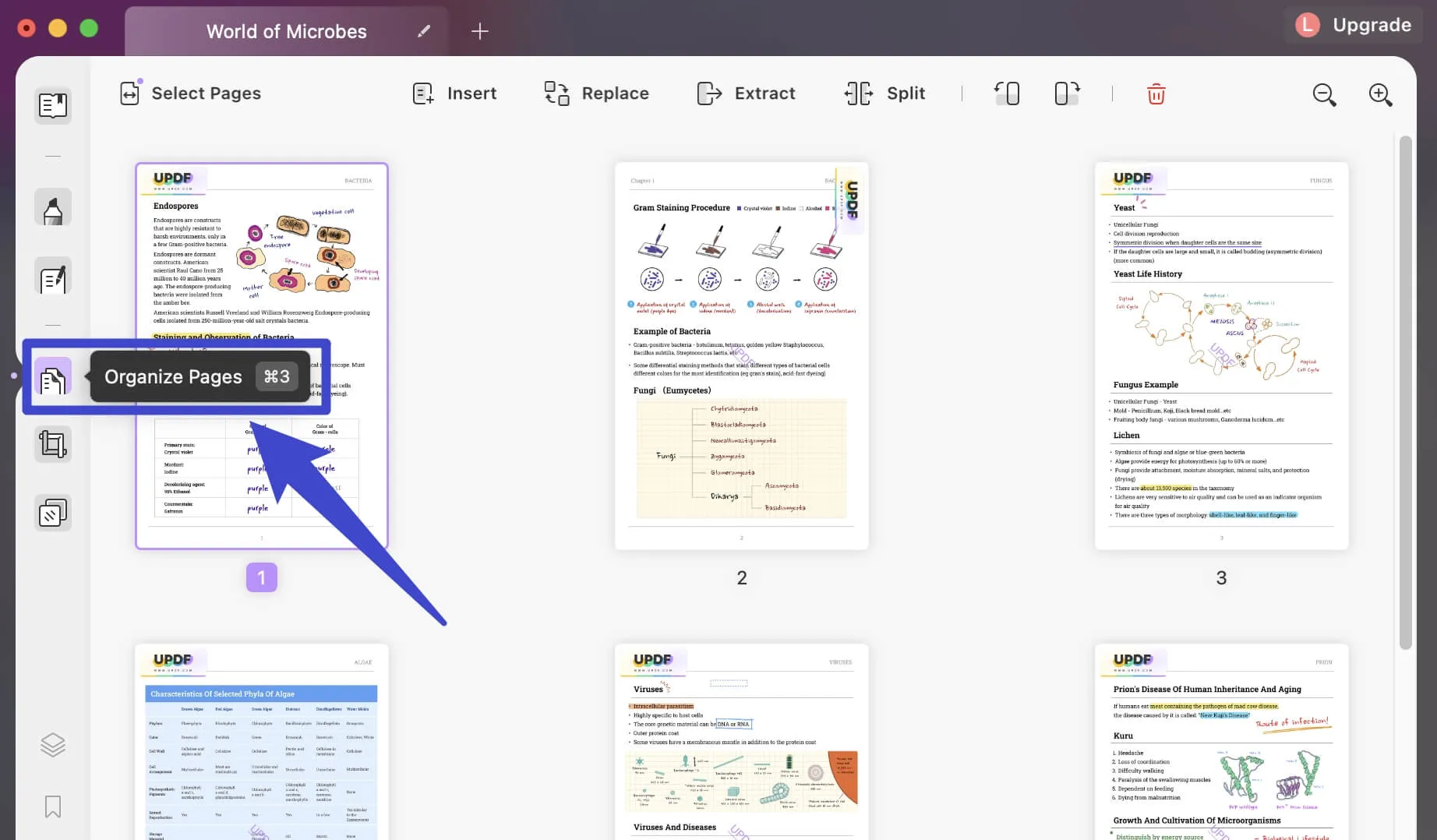 organize pages