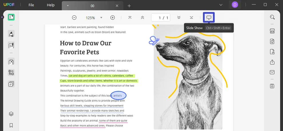 convert pdf to canva slide show mode in UPDF