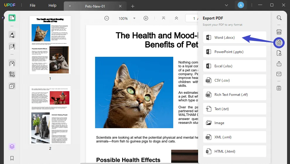 cómo abrir un pdf en google docs y seleccionar el formato word