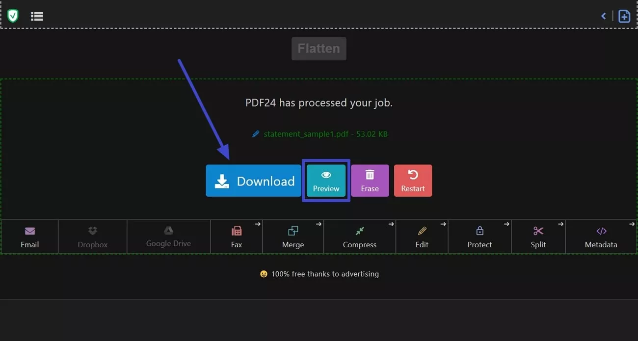 preview and download the file
