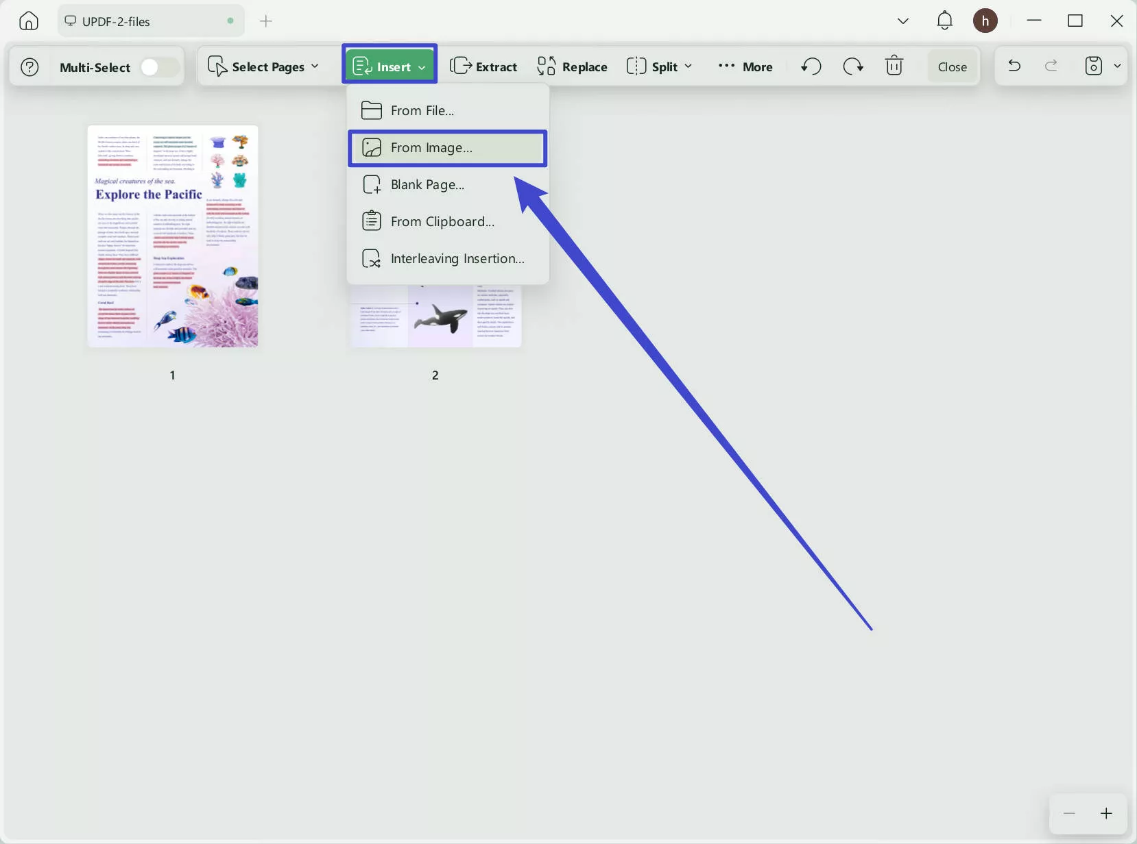 insert from image updf windows