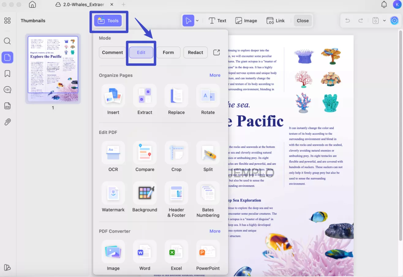 edit text in image jpg to pdf