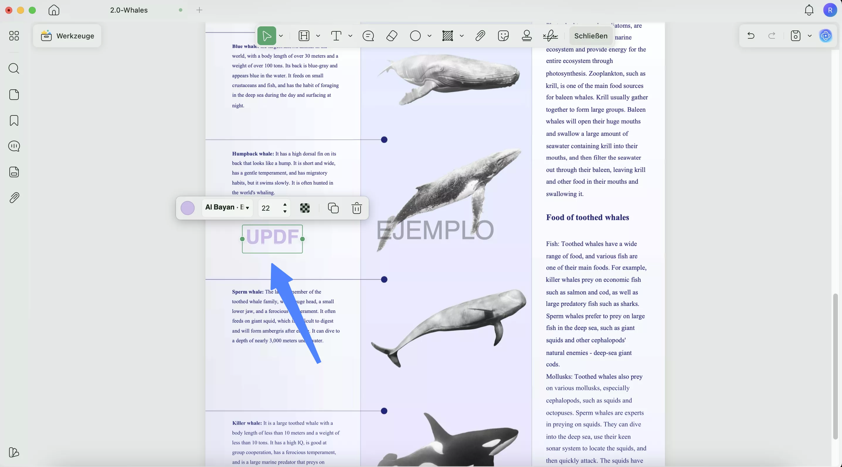 Mit der linken Seite der Maus doppelklicken, um einen Textkommentar hinzuzufügen