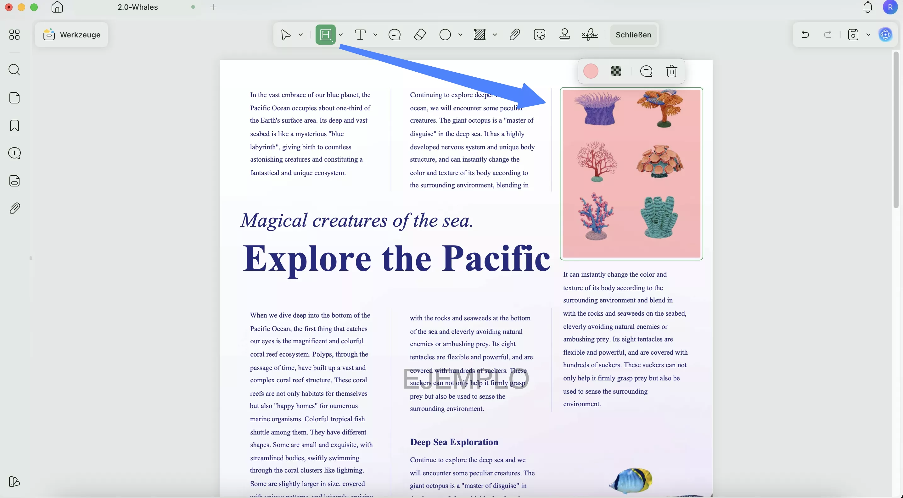 Bereich in PDF durch Gedrückthalten der Umschalttaste markieren