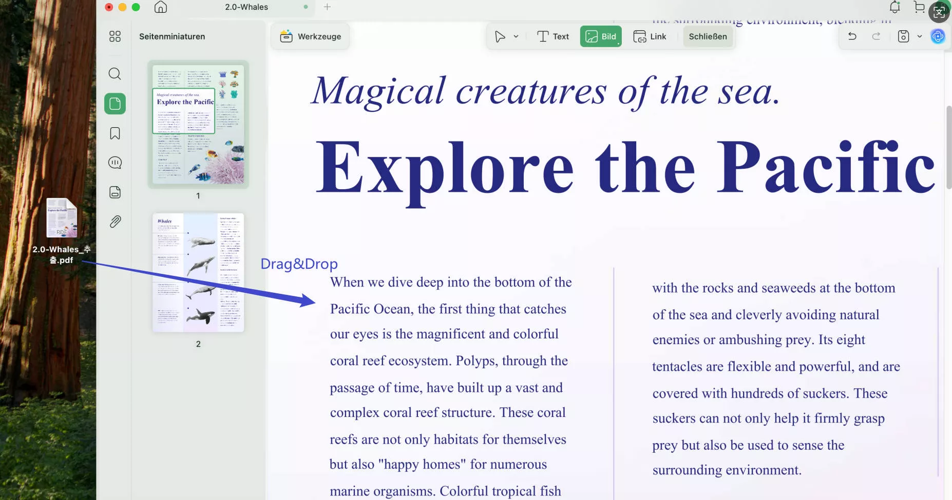 Bild in PDF einfügen - UPDF Drag & Drop