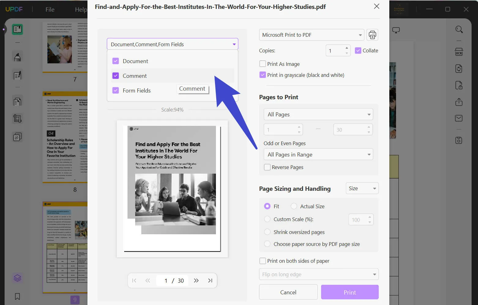 click document comment form fields option