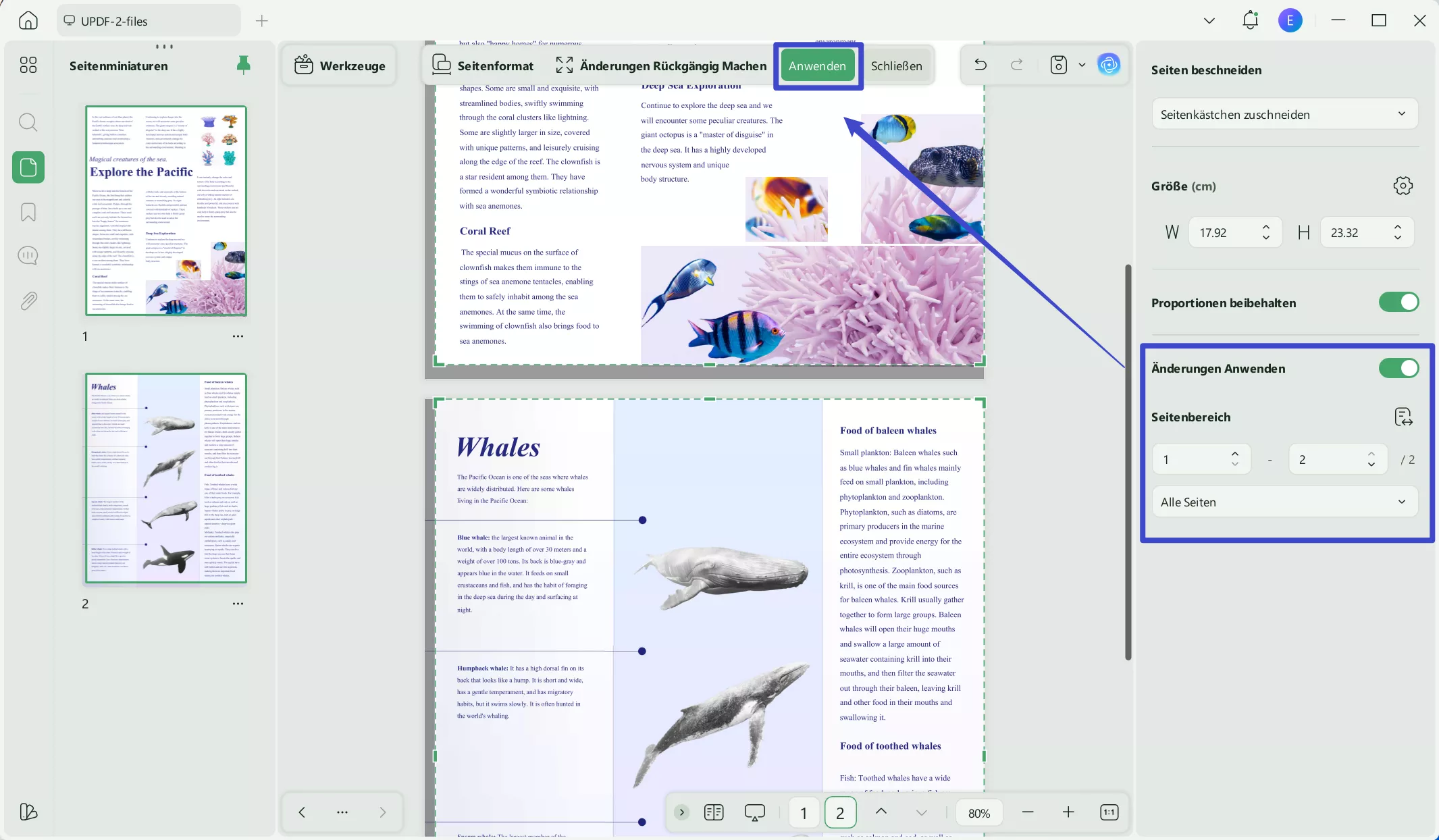 Zuschneideeinstellungen anwenden updf Fenster