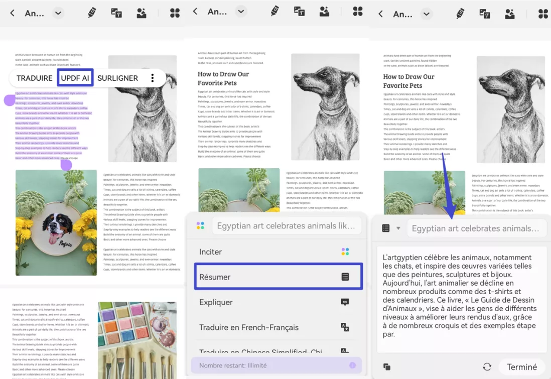 résumer pdf android