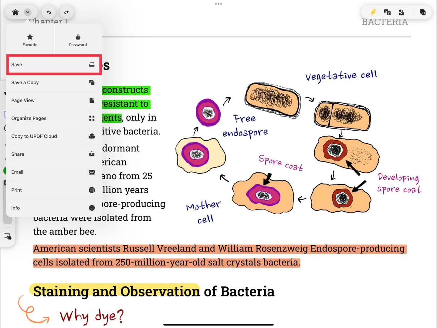 save the annotated pdf