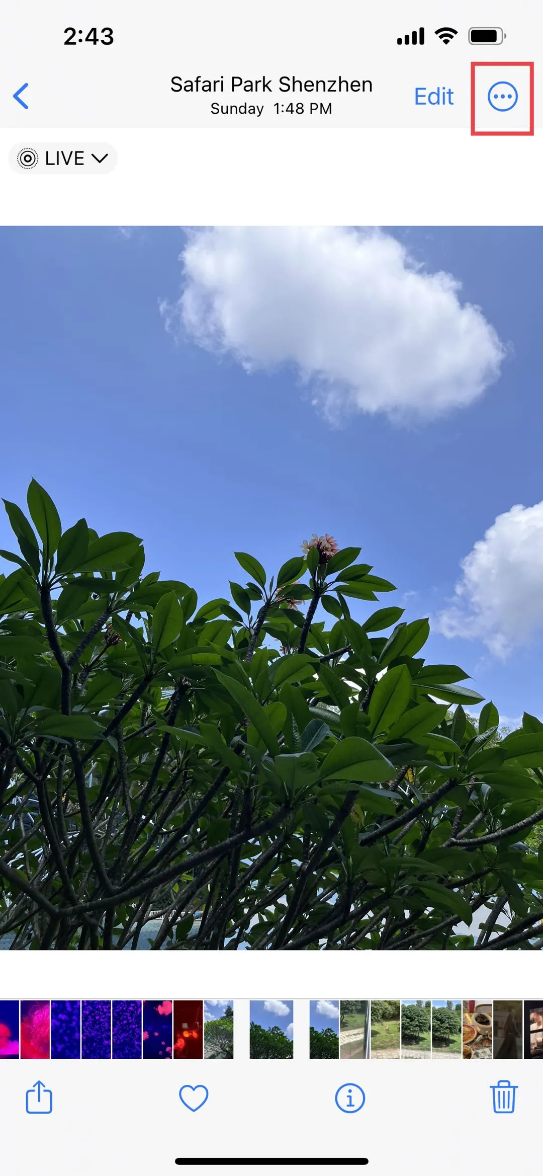 iosで写真の三つのドット
