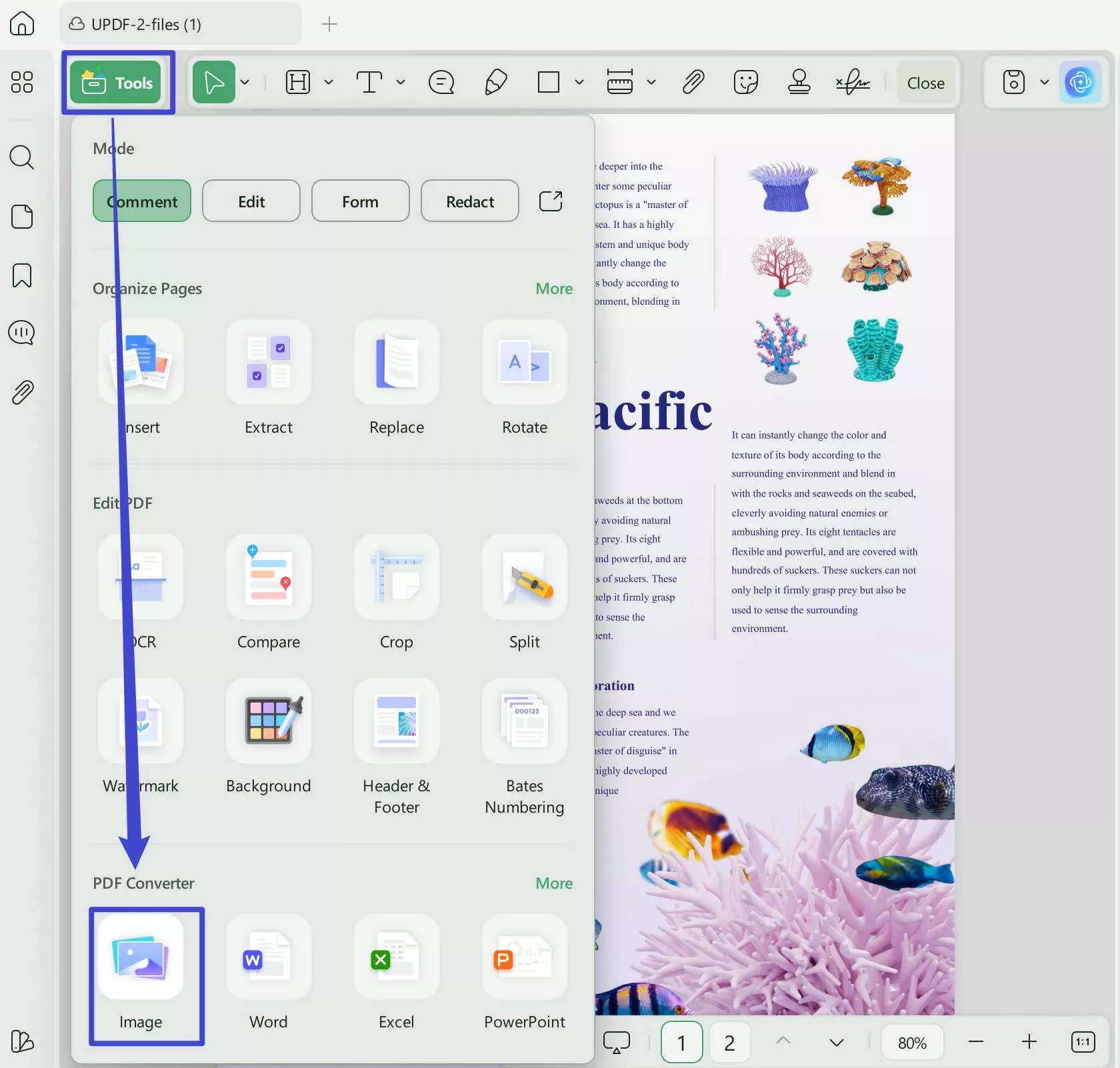 Export Image to Convert the Word File to JPG Format With UPDF