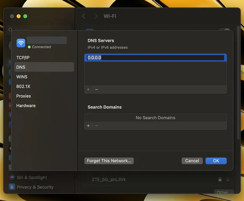 update the dns settings