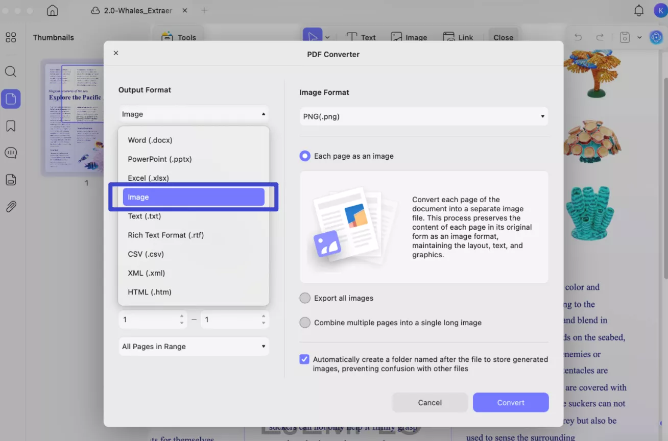 export a pdf to an image