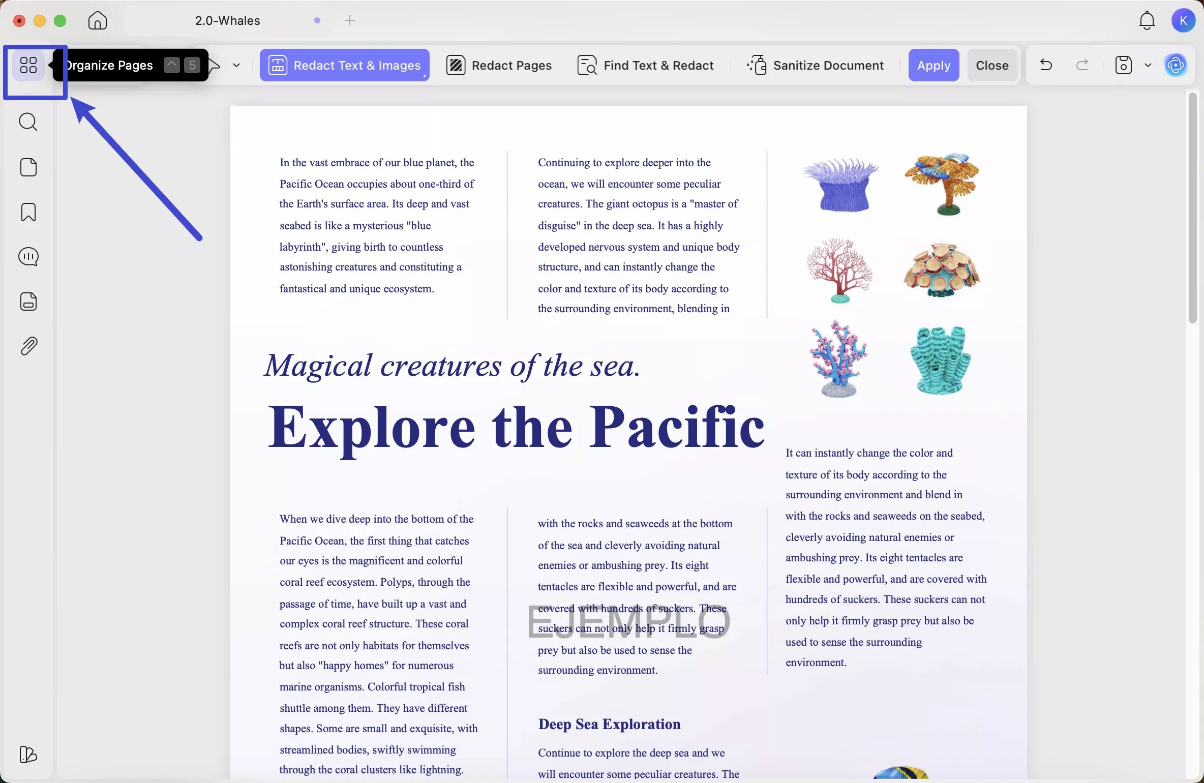 find organize pages